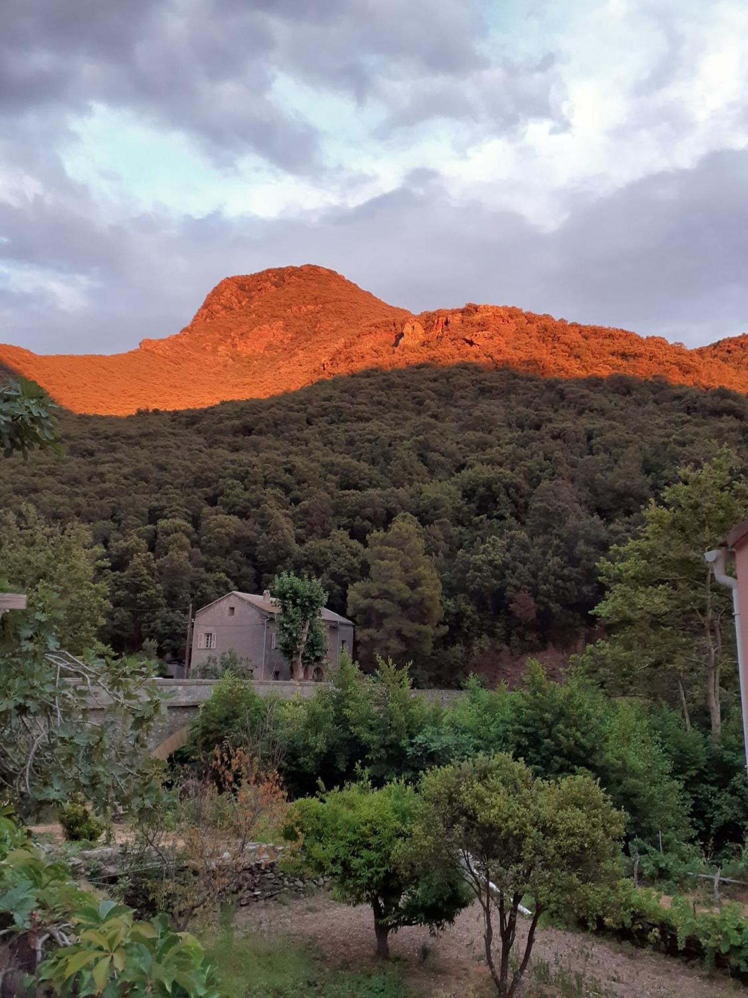 Cap Corse - Maison A 500M De La Plage Grillasca Экстерьер фото